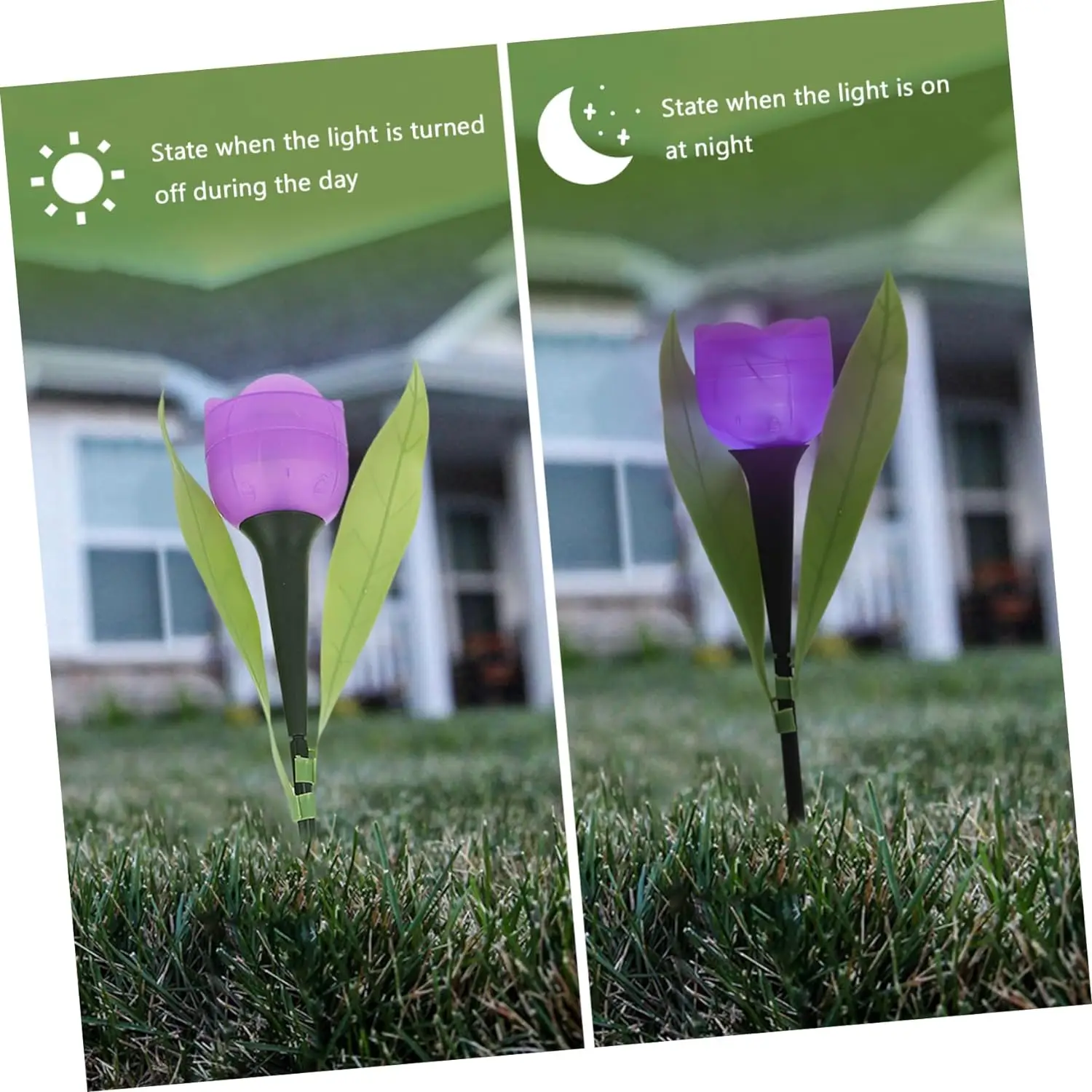 Solar LED Lights Outdoor Tulip Rose Flower Lamp