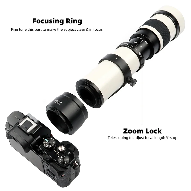 Best Lenses Canon Rebel T6 Lenses For Wildlife Photography