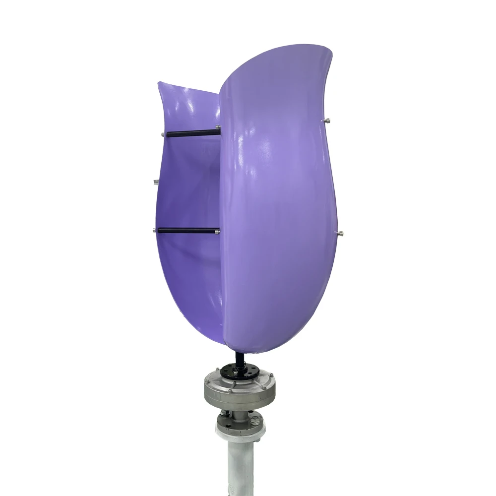 6000W Low-Speed Vertical Axis Wind Turbine High-Power 12V 24V 48V Off-grid Grid Connection Free Wind Controller For Home Use