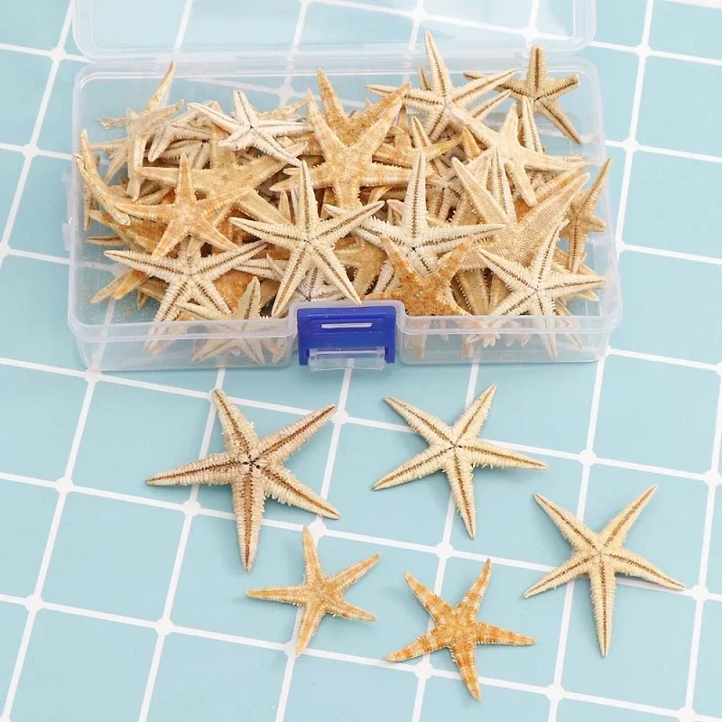 

1box Natural Starfish Seashell Beach DIY Decoration Shell Conch Craft Sea Decoration Home Ornaments Micro Landscape Material