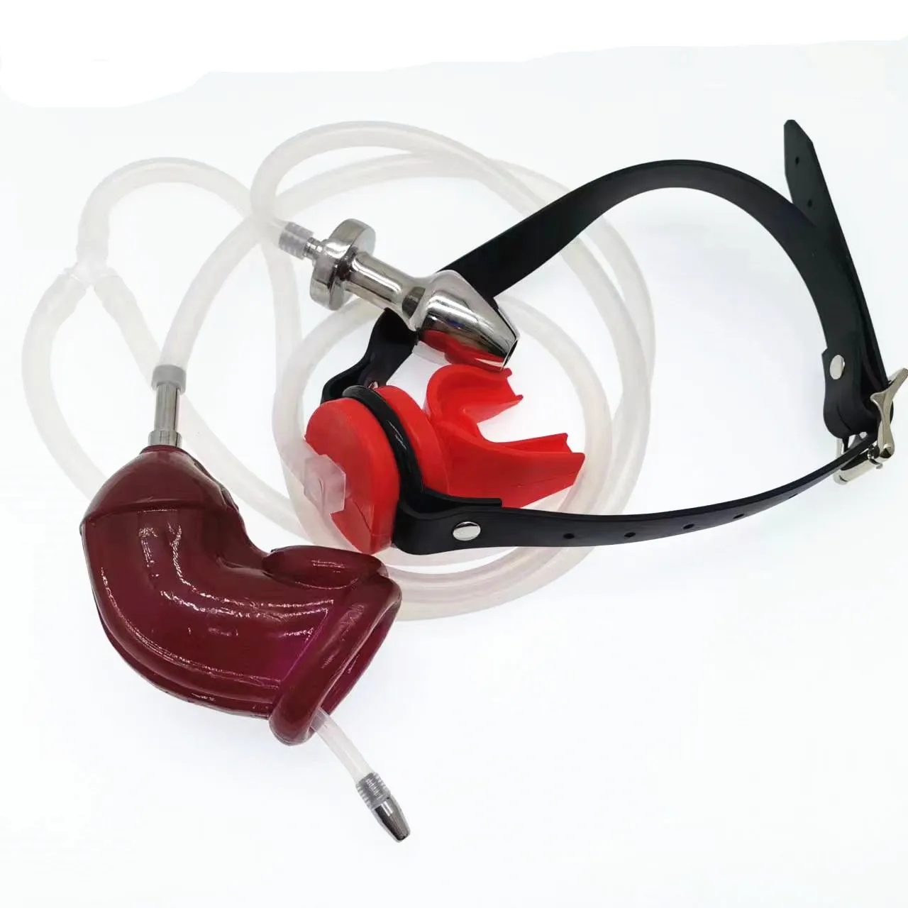 пісіп жетілген есек