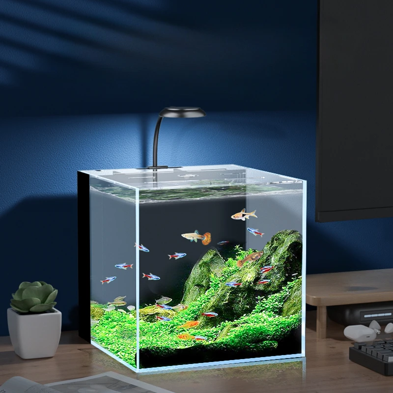 

Desktop Landscaping Aquariums Fish Tank Vivarium Circulate Filterate Glass Aquariums Fish Tank Room Home Acuario Product QF50YG