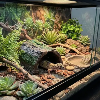 Reptile Tree Bark Hideout 1