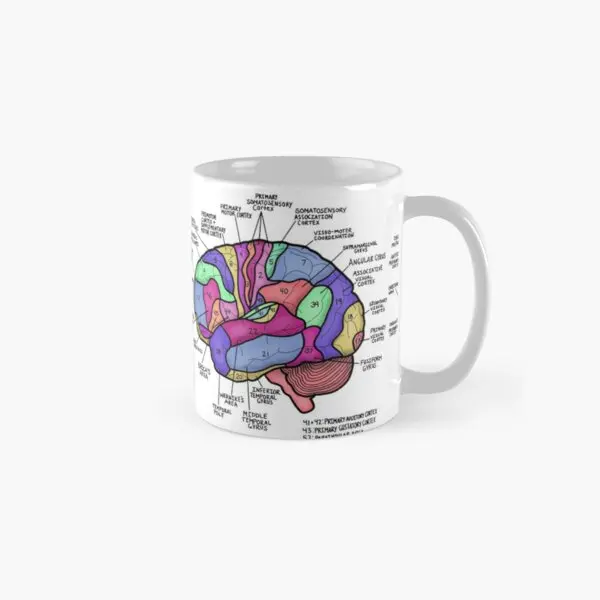 

Brain Brodmanns Areas Classic Mug Image Design Simple Photo Cup Coffee Printed Tea Handle Round Drinkware Picture Gifts