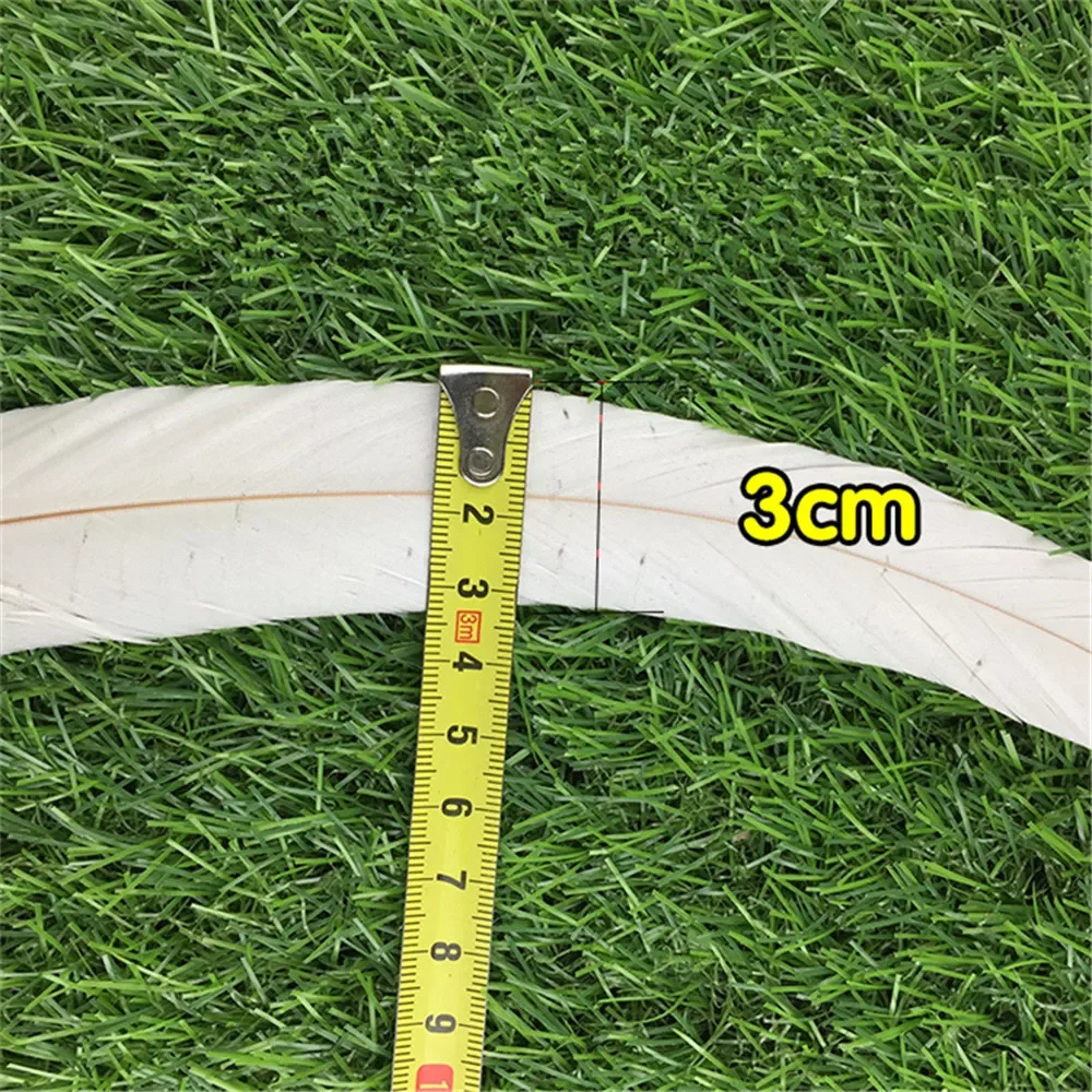 Piume Di Fagiano All'ingrosso Da 100 Pezzi - Piume Di Coda Lunghe - Foto 9