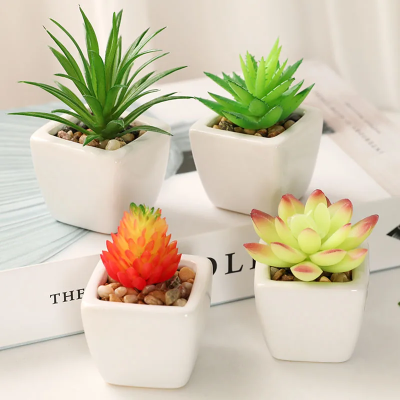 Vibrant Multicolor Flocking Succulent Plants