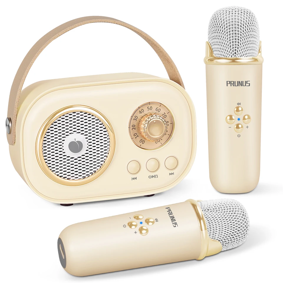 Portable Mini Karaoke Machine with Dual Microphones
