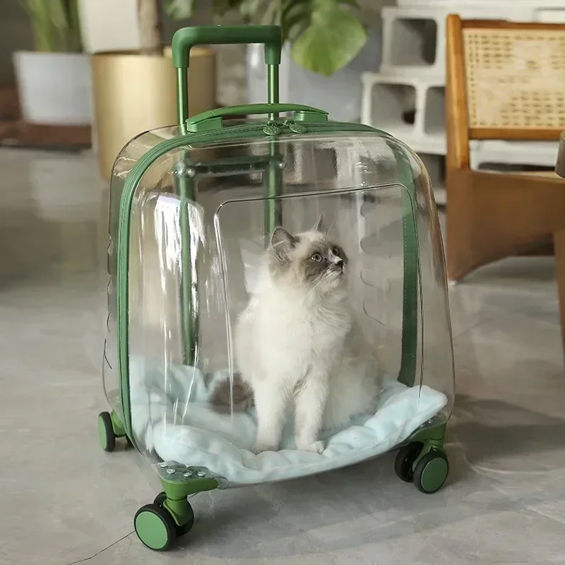 

Mochila transparente para mascotas, bolsa de transporte para gatos, cápsula portátil, bolsa de transporte para mascotas, novedad