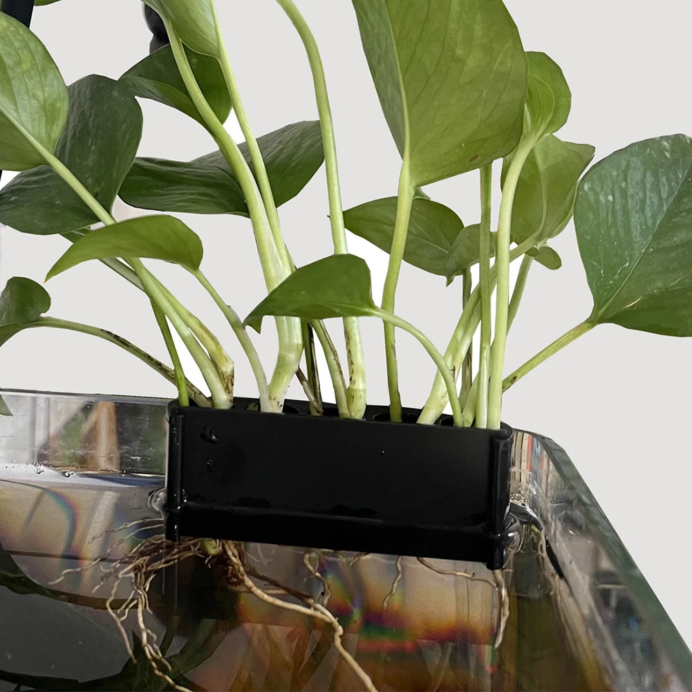 Aquarium Plant Basket 1-10pcs