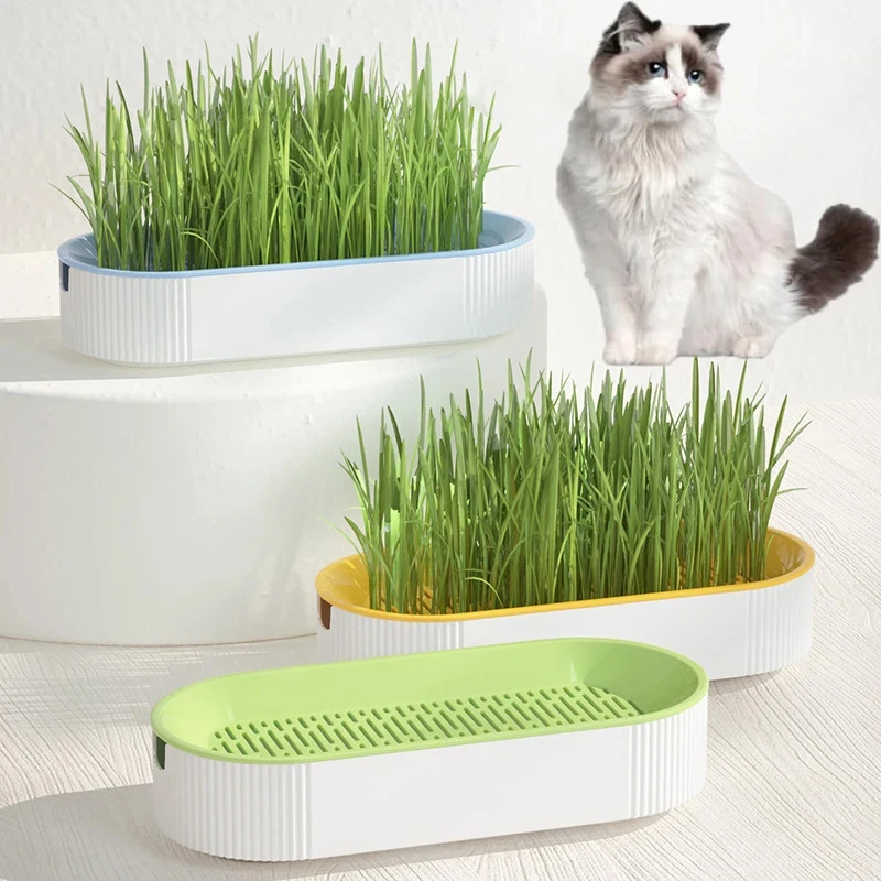 Hydroponic Cat Grass Box Cat Treats Catnip Hydroponic Soilless Planting Grass Pot Set for Easy Growth