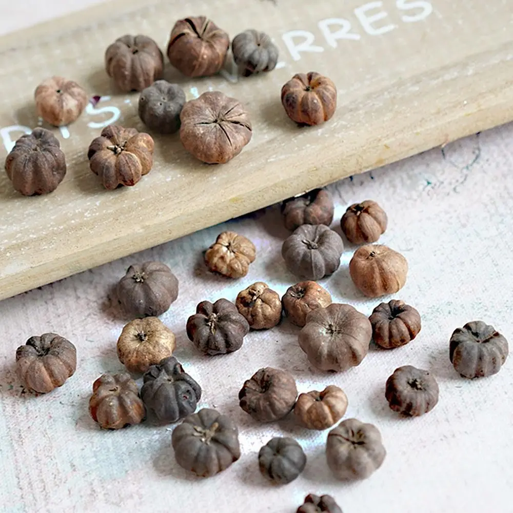 Dried Vegetables Mini Natural Halloween Pumpkins 15pcs vegetable ornaments table decoration artificial pumpkin decoration