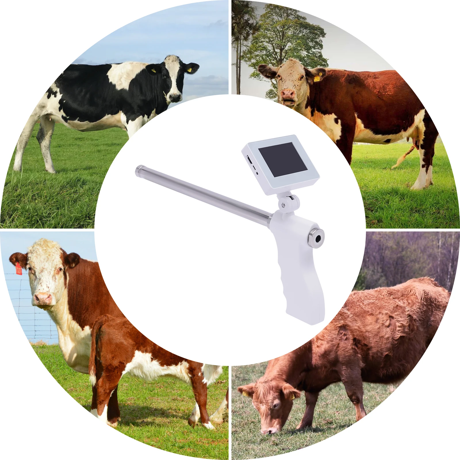 Cattle AI Kit with 15MP Camera 3.5-Inch LED Display Anti-Fall Rope 8 Hours Battery Life for Insemination Process