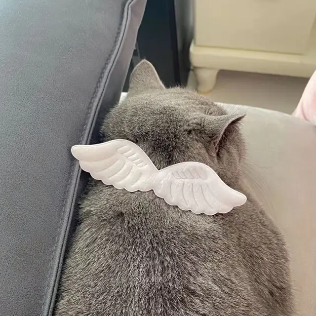 MPK Angel Wings Cat Collar Cute Cat Accessories In Selections Of White & Pink 3 Sizes Available