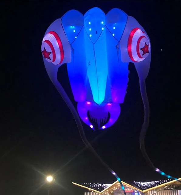 free shipping led trilobites kite for adults kite string line windsurfing papalote outdoor toys sport professional kite koi carp 2