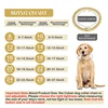 Dog Cuban Gold Chain Luxury Diamond Dog Collar Pet Metal Necklace Jewelry Accessories for Small Medium Large Dogs Cats Pet Gift 2