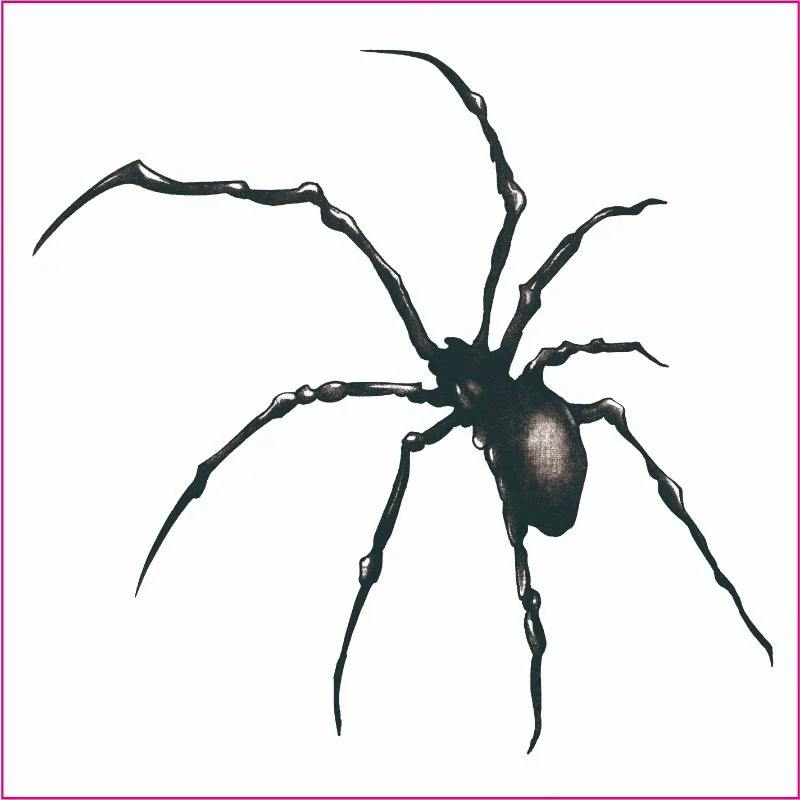 1 Sheet Spider Tattoo Sticker Waterproof and Long-lasting Temporary Tattoo 5