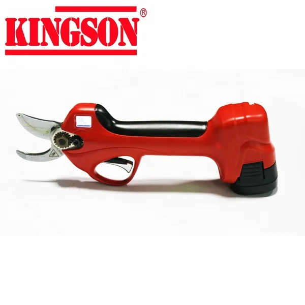 2020   Kingson    