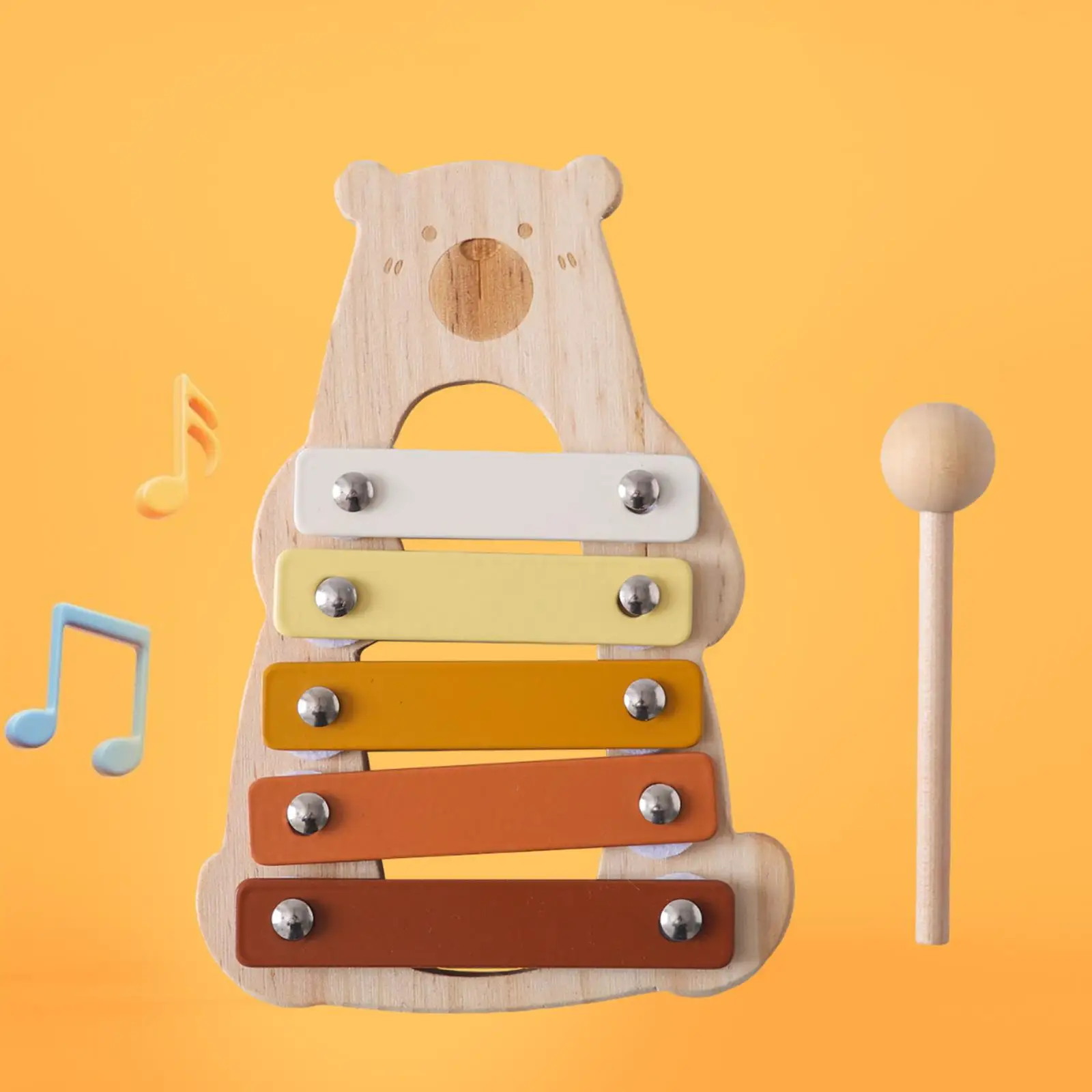 5 Note Xylophone Xylophone Musical Toy Coordination Color Perception Music
