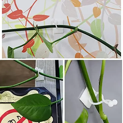 Plant Climbing Self-Adhesive Wall Vines Tools Fixture Plant Wall Fixture Clips Fixed Buckle Hook for Home Garden Sticky