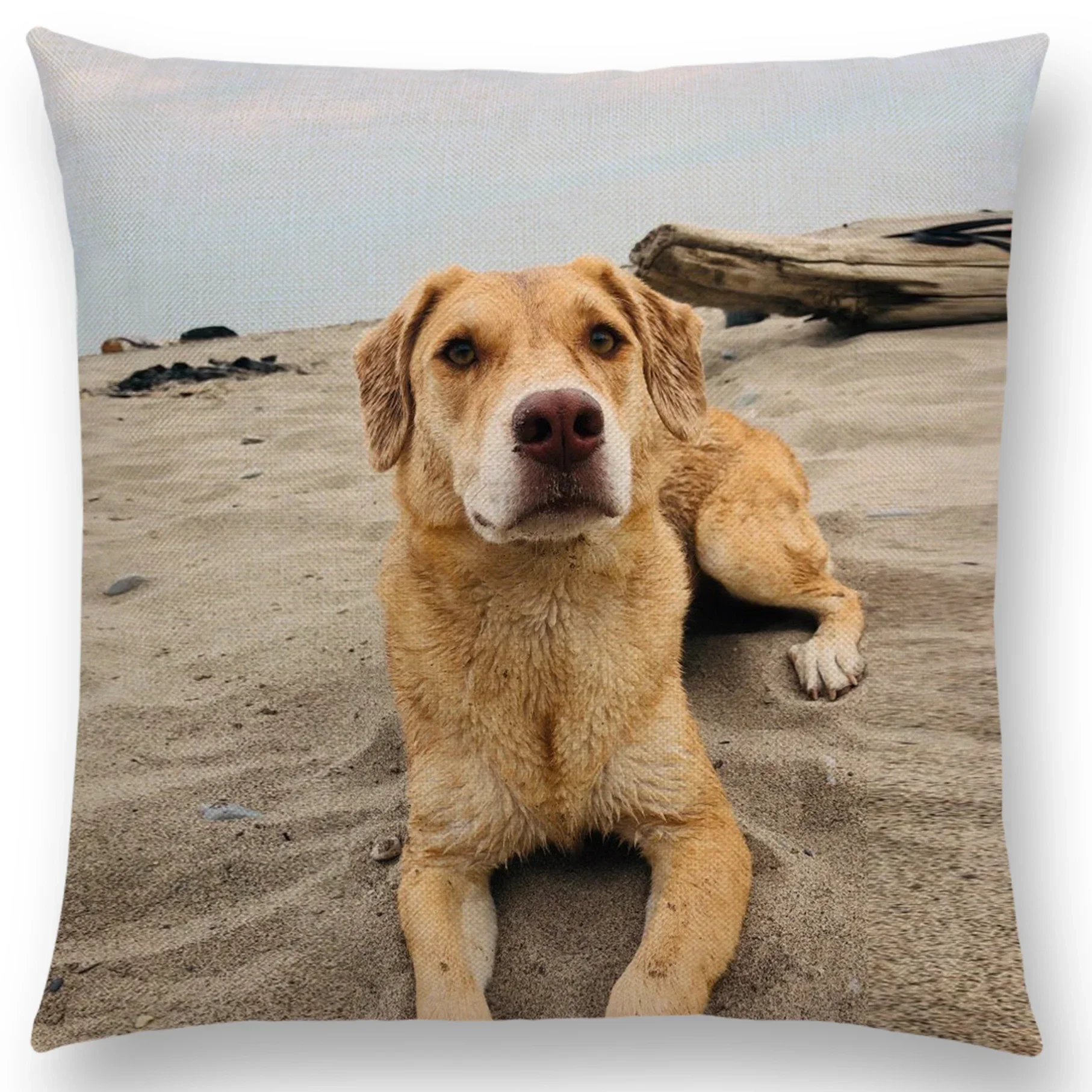 DIY Logo Custom Cushion Cover Baby Family Pets Pillow Case Luxury Brand Customized Throw Pillow Cover Linen Housse 5
