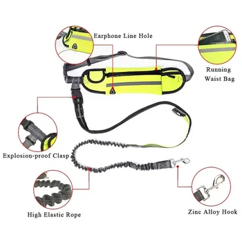 Hands Free Dog Leash with Zipper Pouch Reflective Bungee for Medium to Large Dogs Walking Jogging and Running 3