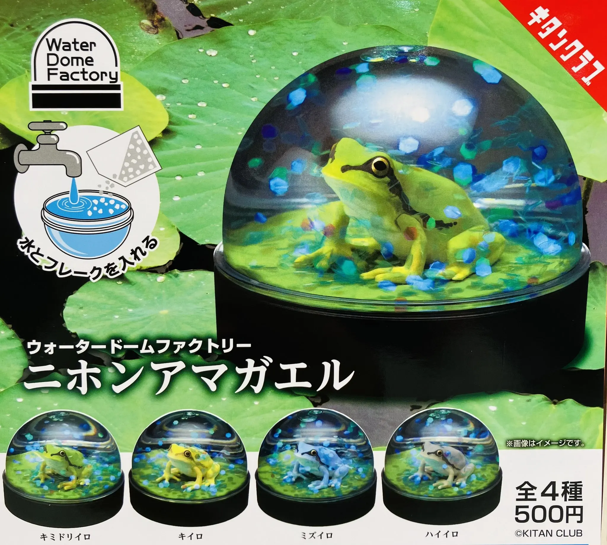 Origina capsule toys Water Dome Factory Japanese Tree Frog on otus