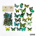 Green butterfly