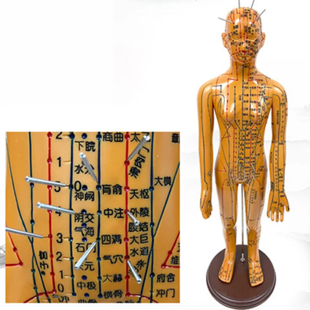 Description Picture 3 of itemMedical Chinese Medicine Meridians Acupuncture Moxibustion 52cm Model Point Mannequin Acupuncture Model Gold White Faster Ships