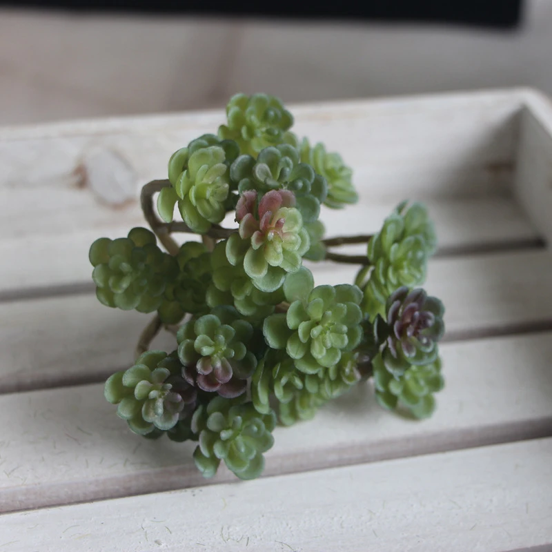 

Micro Landscape Simulation Succulents 24 Forks Immortality Home Room Wedding Decoration Fake Flower Ornaments Model Building
