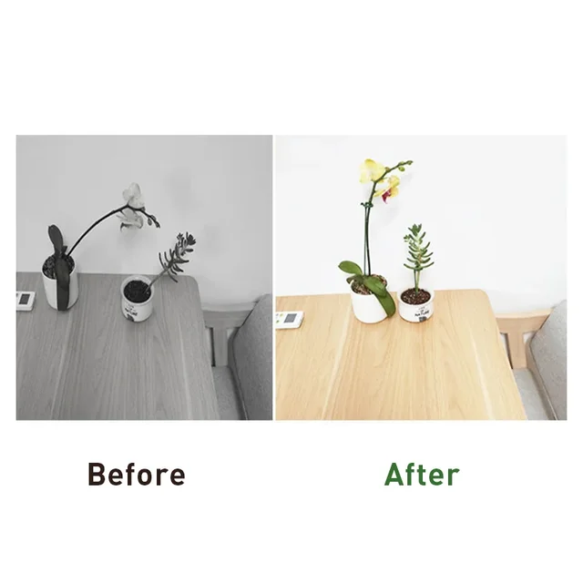 1-15PCS Plant Supports Stakes Flower Stand Sticks Reusable Plant Clips Bonsai Fixing Tool Flower Grow Holder Garden Tools 3