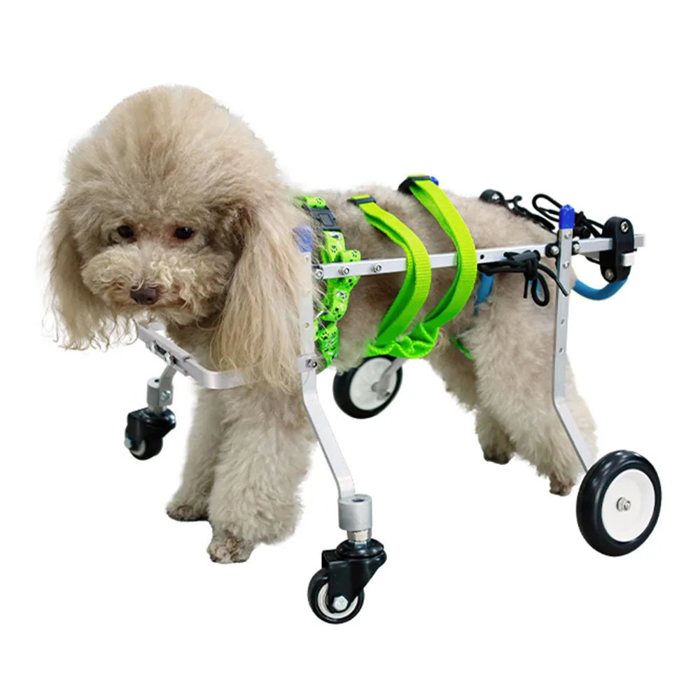 

Four Wheel Pet Wheelchair Small Canine Disability Paralyzed Walker Dog Injury Rehabilitation Wheelchair Cat Dog Assisted Walking