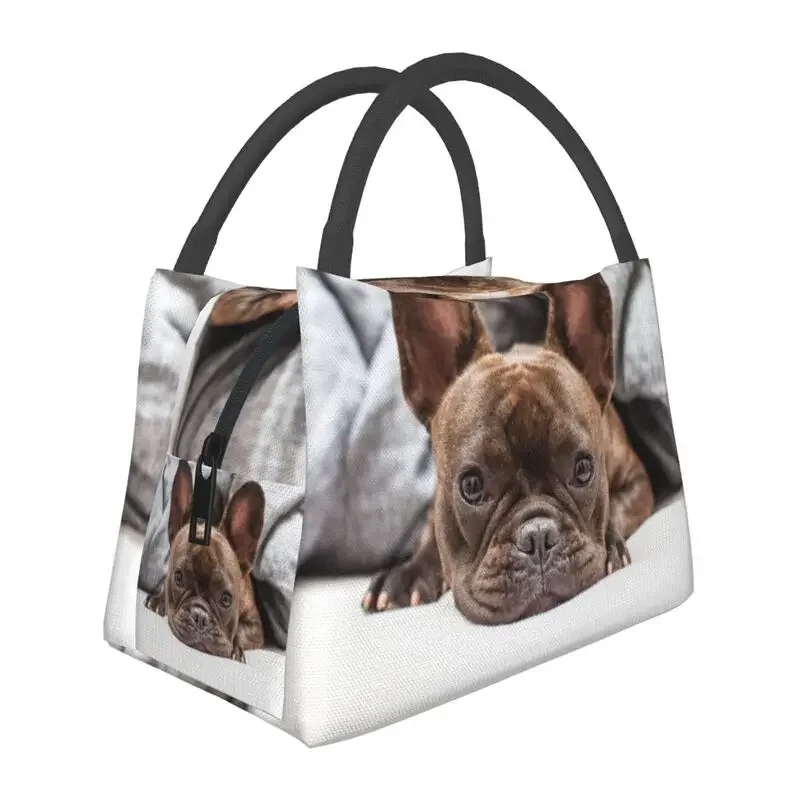 

Custom French Bulldog Lunch Bags Men Women Warm Cooler Insulated Lunch Boxes for Picnic Camping Work Travel