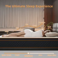 SKSBTF карманный пружинный матрас толщиной 25 см, матрасы из пены с эффектом памяти, гибридные дышащие бесшумные коврики для сна для взрослых — изображение 2