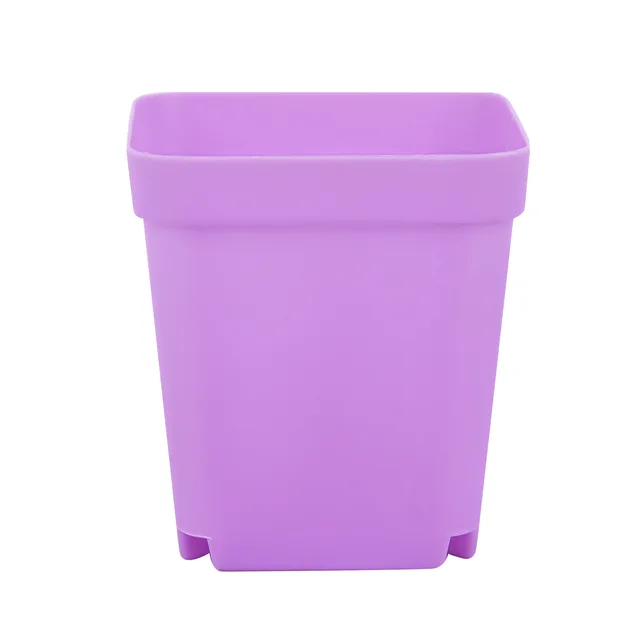 purple with tray