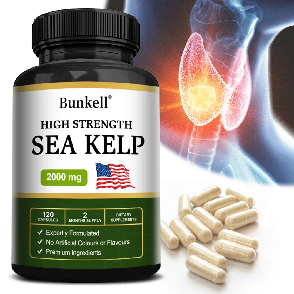 Atlantic Kelp Extract for thyroid support helping with metabolic balance in the body energy support