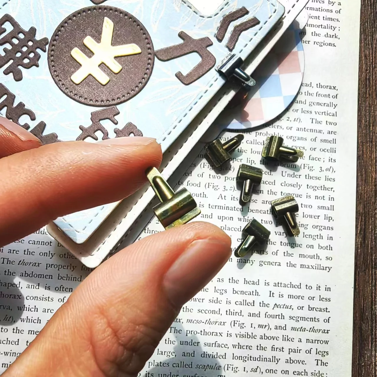 Scrapbooking Decoration Retro Mini Clip-Diy Embellishment Scrapbooking JunkJournal Handmade Photo Album Frame Decoration 50pics