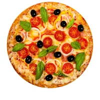 Fun Realistic Blanket for Kids and Adult, Tortilla, Pizza, Burrito, Bread, Cake, Giant Food Pattern, Tasty Flannel Throw 2