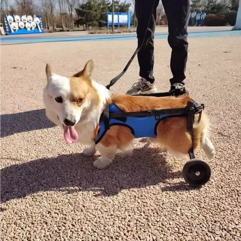 Pet Trolley Adjustable Hind Leg Disabled Pet Dog Mobility Aid Light Rehabilitation Legs Wheelchair Walk Trolley Tools