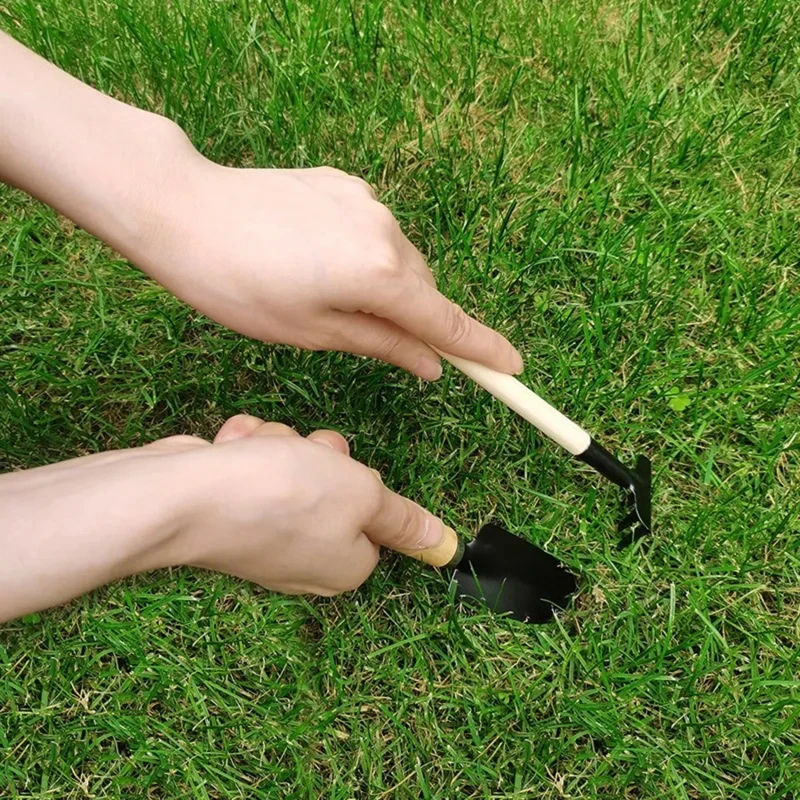 Description Picture 4 of item3Pcs/Set Mini Garden Tool Set For Garden Plants Flower Pot Cactus Vegetables Digging Weeding Indoor Small Plants Garden Tools