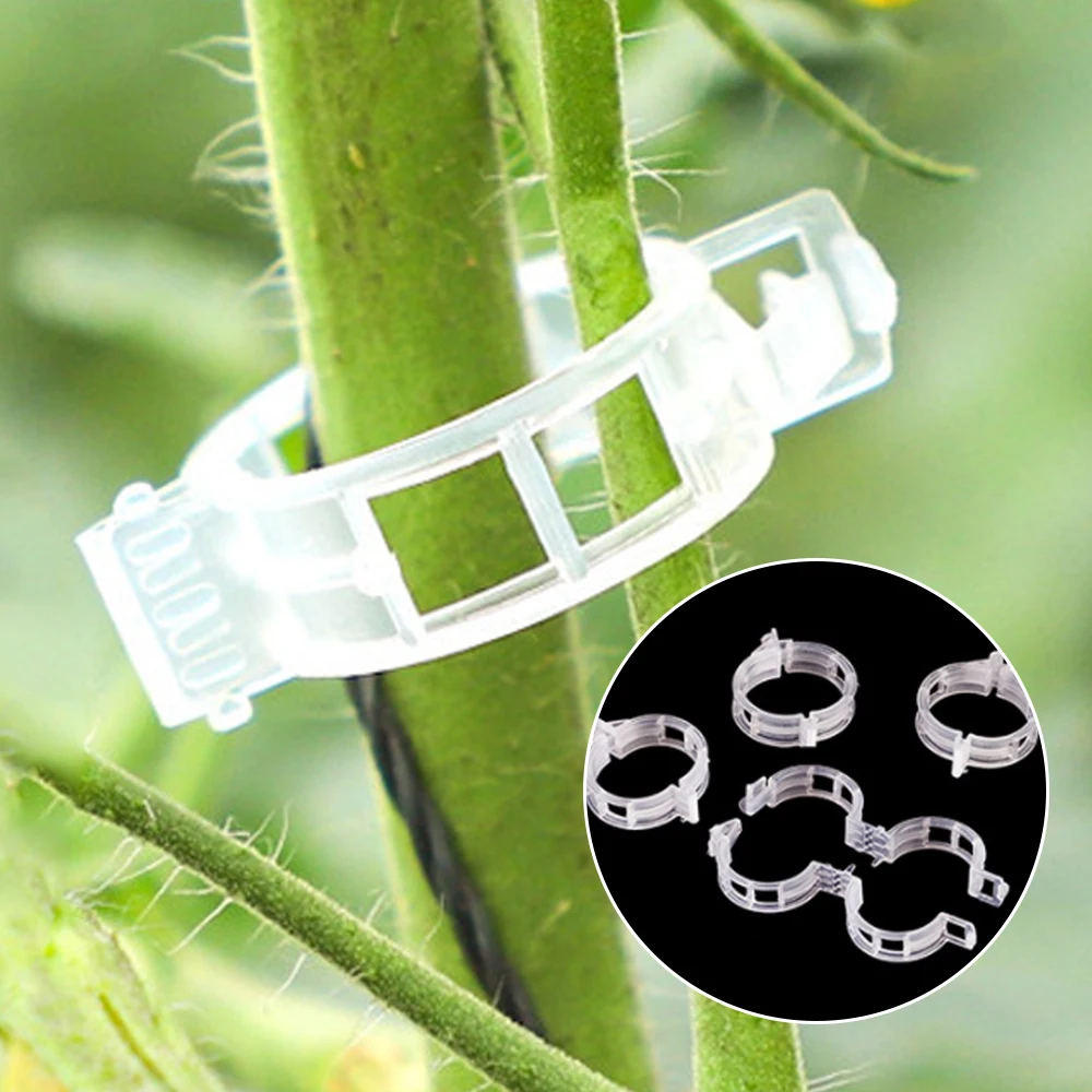 

100/50pcs Tomato Holder Plant Support Vegetable Tomato Grafting Clips Reusable Vine Plants Retainer