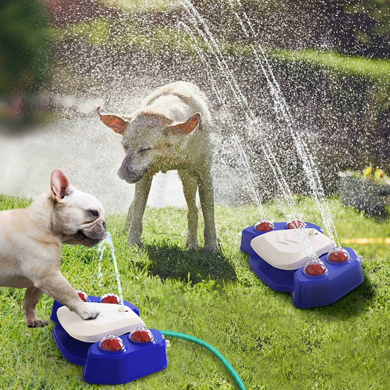 Dog Water Fountain Multifunction Outdoor Dog Sprinkler Step On Dog