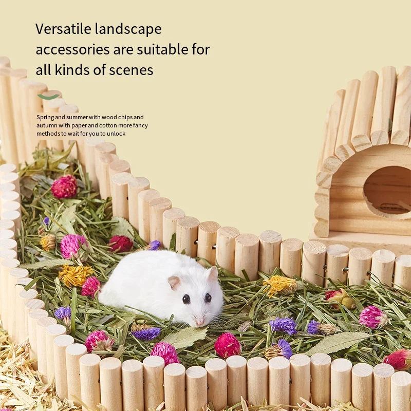 Fancy Hamster House