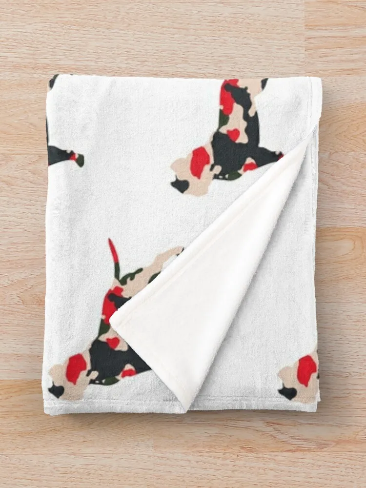 �Ƹ޸�ĭ �븮 ���� ���� ������ ���, ���Ÿ� �����̳�, ���� ū ���