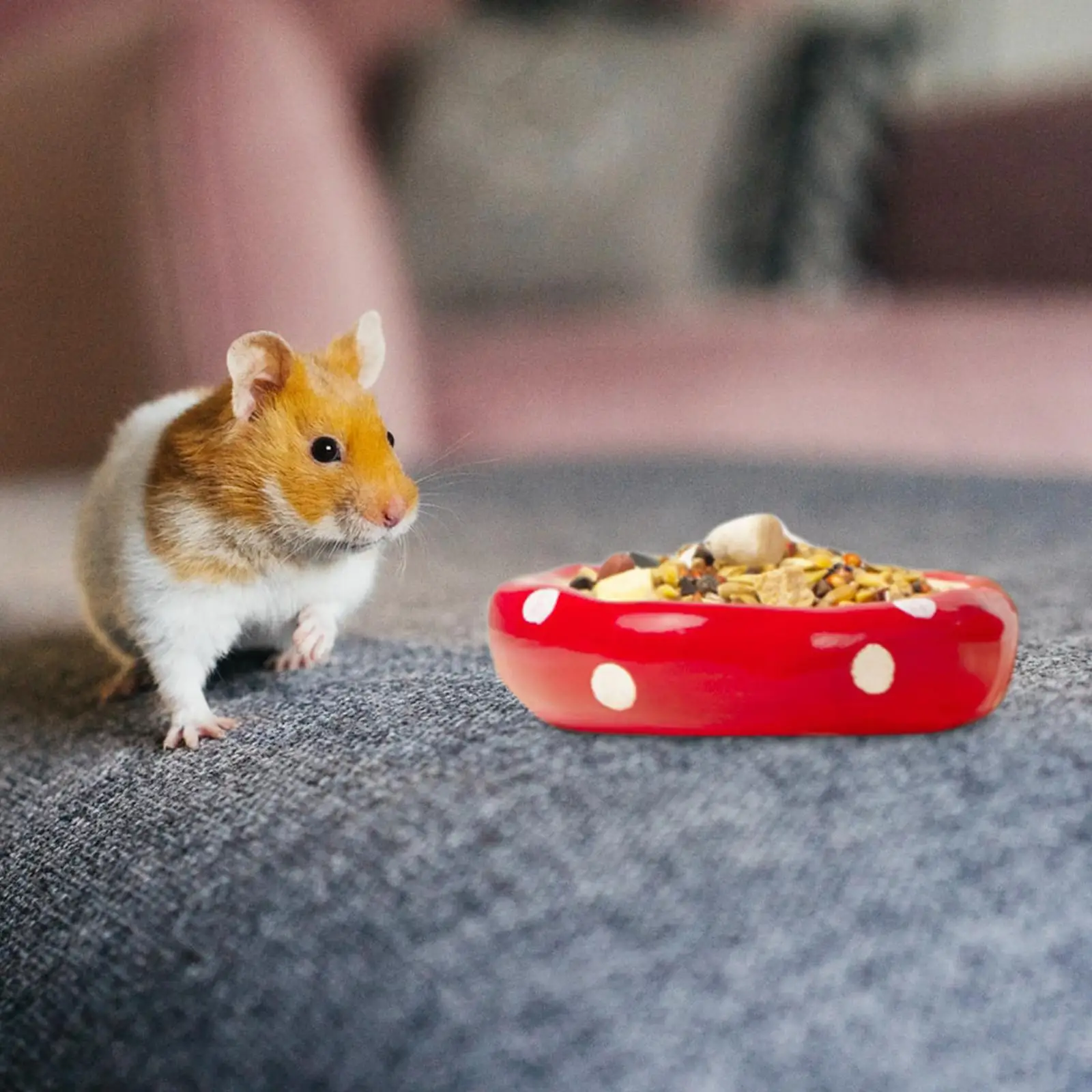 Food Bowl B