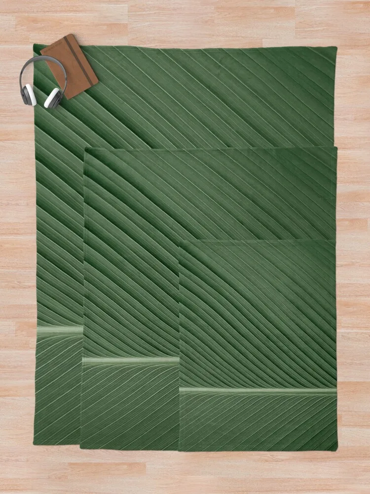 ��� �ٳ��� �� ������ ���, ���� ������, �߷�Ÿ�� ���� ���̵��, �ڽ����� �ִϸ��̼� �����̴� ���