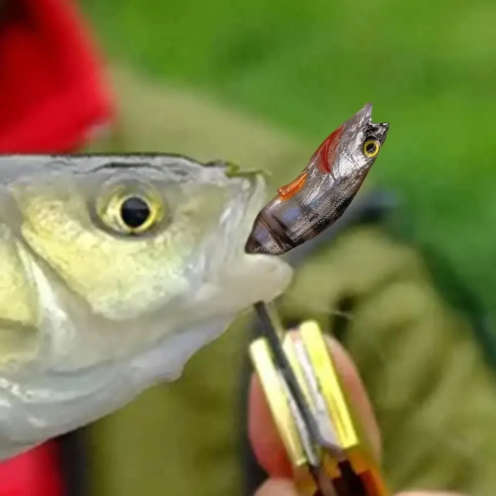 Bunte 8 cm weiche Angelköder, 3D-Augen, T-Schwanz, künstlicher Swimbait, künstlicher Fisch, Silikon, simulierter gefälschter Köder, Meeresangeln – Detail 16