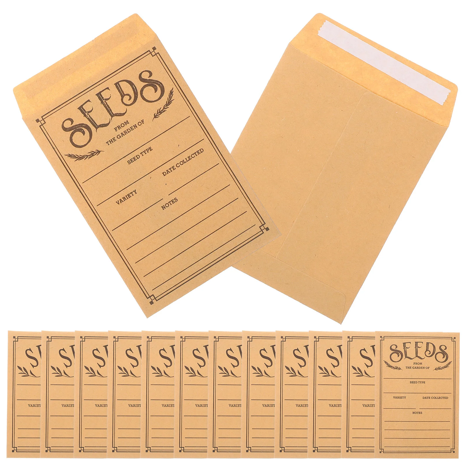 

Seed Envelopes Paper Envelopes Seed Packets Paper Envelopes Money Envelopes