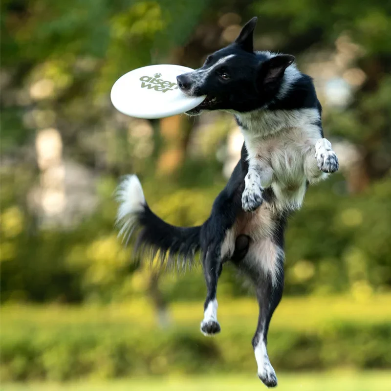 Pet Dog Flying Disks Kids Puppy Funny Interactive Training Toys Flying Saucer Professional Dog Races Disks 240mm
