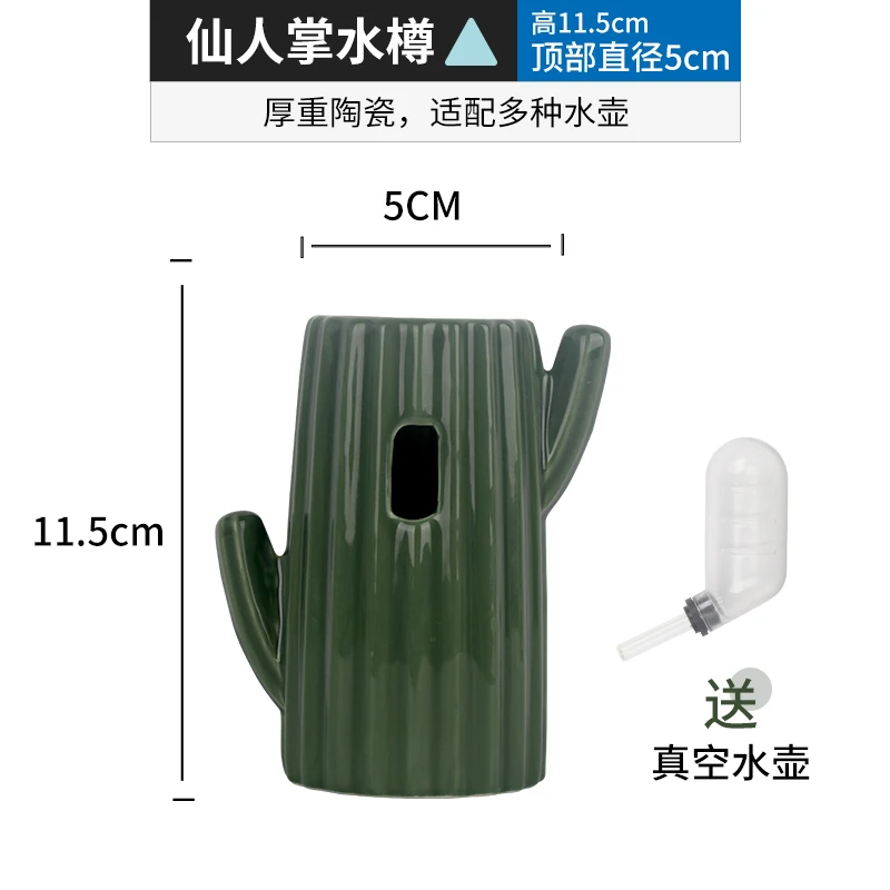 Cactus Kettle 1