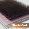 Qeelasee New Arrival 10 PCS Brown Matte Flat Eyelash Extension Mink False Ellipse Lashes Split Tips Supplies 3